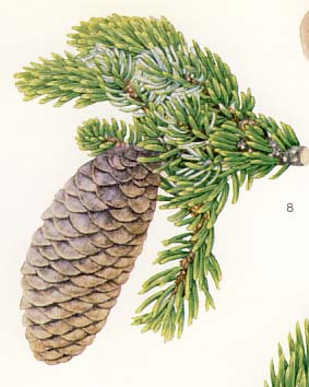 �A�J�G�]�}�c