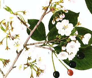 �G�h�q�K��