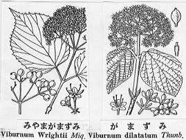 �~���}�K�}�Y�~