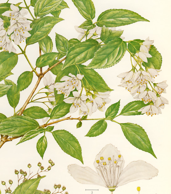 �q���E�c�M