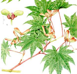 �q�i�E�`���J�G�f