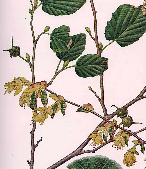 �q���E�K�~�Y�L