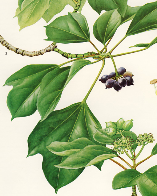 �J�N���~�m