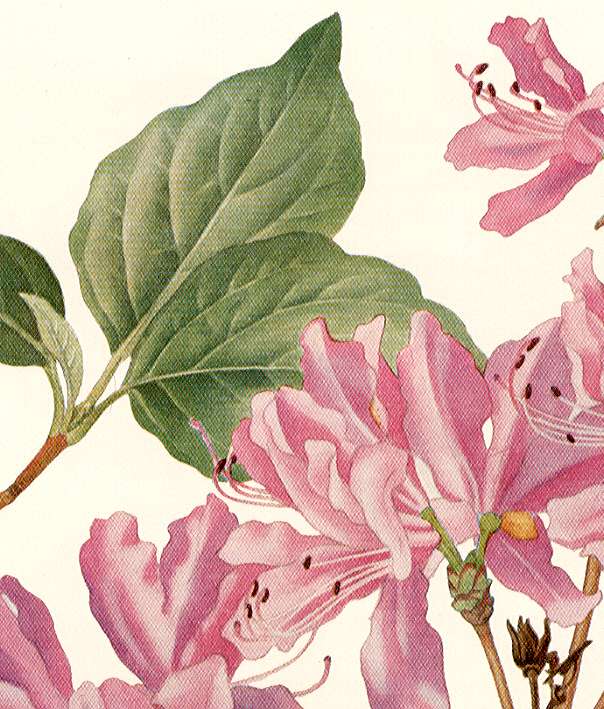 �~�c�o�c�c�W