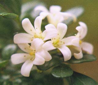 �q�`���R�E