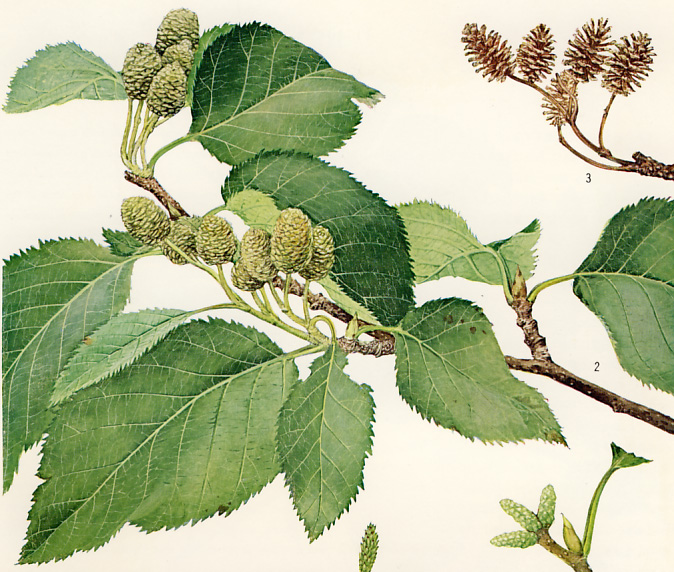 �~���}�n���m�L