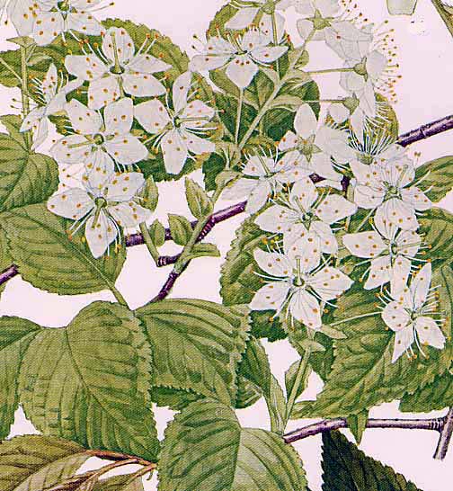 �~���}�U�N��