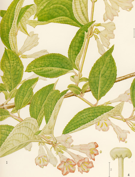 �j�V�L�E�c�M