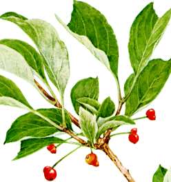 �I�j�q���E�^���{�N