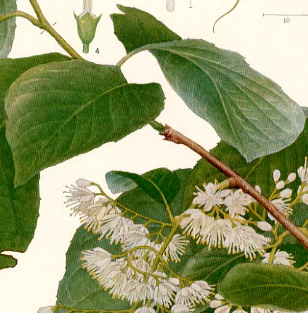 �I�I�o�A�T�K��