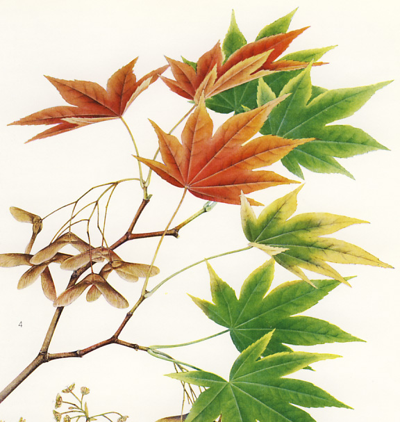 �I�I���~�W