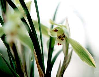 �V��������