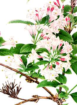 �^�j�E�c�M