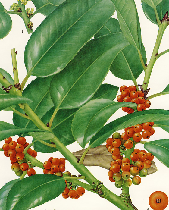 �^�����E