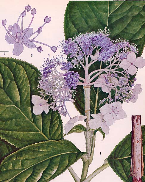 �^�}�A�W�T�C