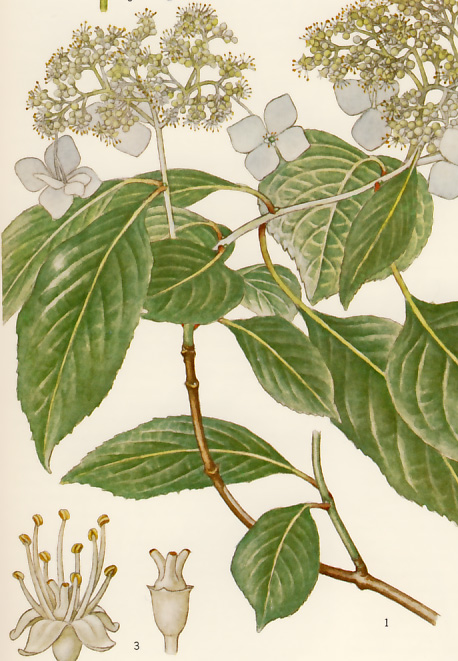 ���}�A�W�T�C