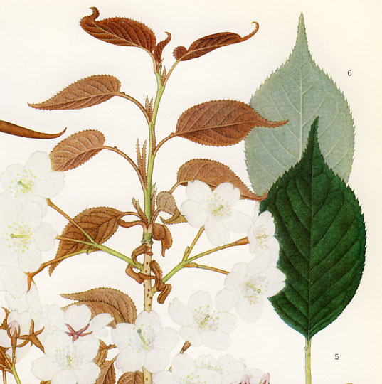 ���}�U�N��