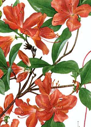 ���}�c�c�W