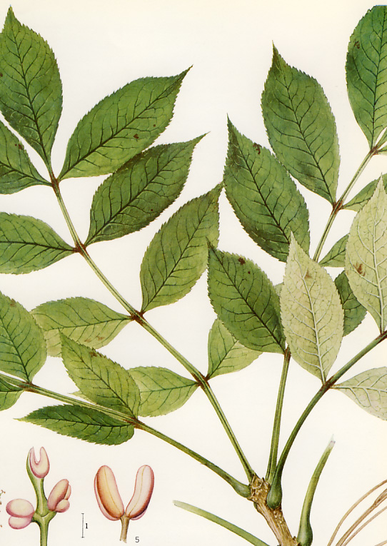 ���`�_��