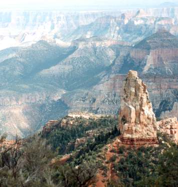 �n�C�f����