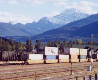 �G�f�B�X�L���x��