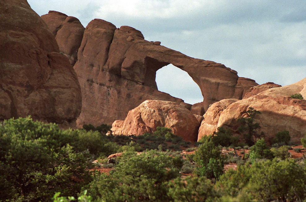 �X�J�C���C���A�[�`