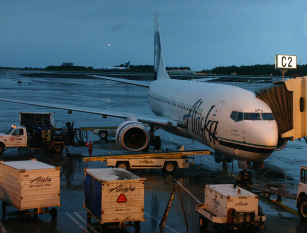 �A���J���b�W��`