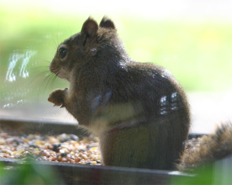 ���z���̒n���X