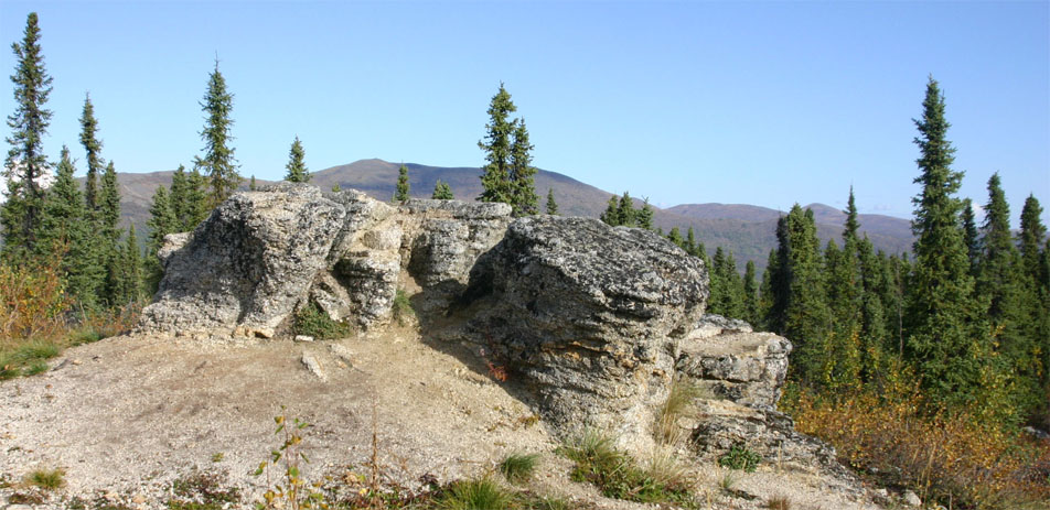 �x�A�[�|�E�r���[�g�ւ̔������ԓ_