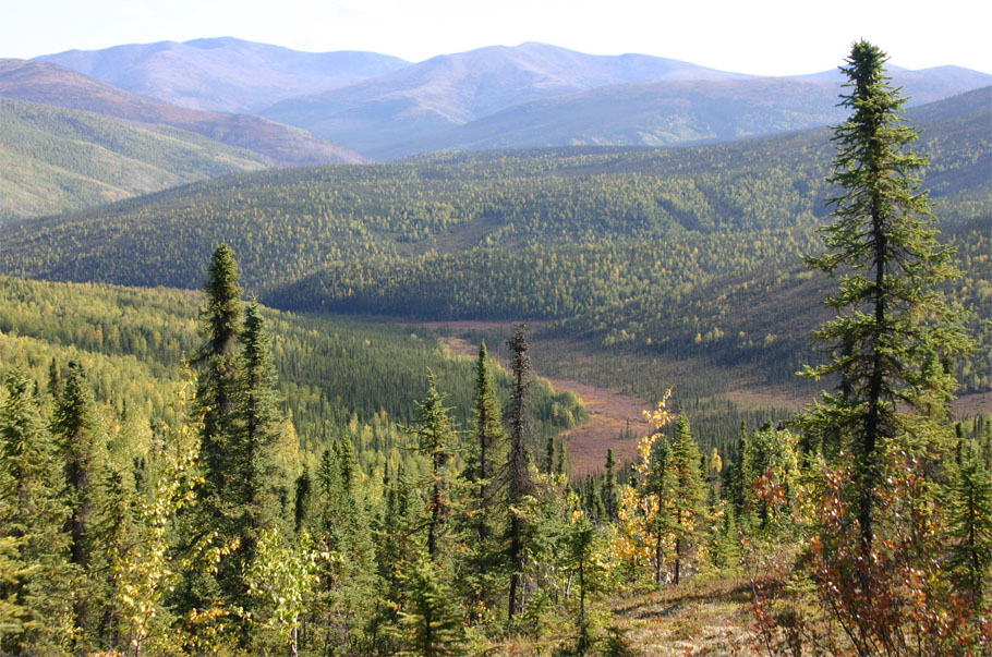 �x�A�[�|�E�r���[�g����`�i������ʂ̃X�v���[�X�̗�