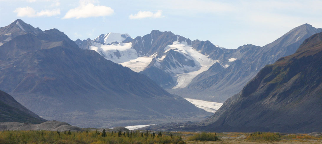 Blackrapid�X��