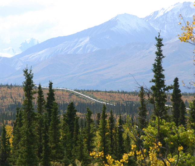 �p�C�v���C��