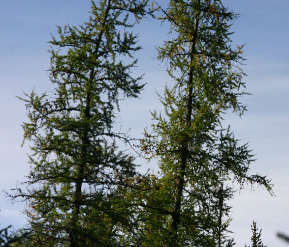 �A�����J�J���}�c