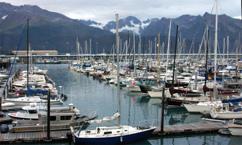 �X���[�h�n�[�o�[