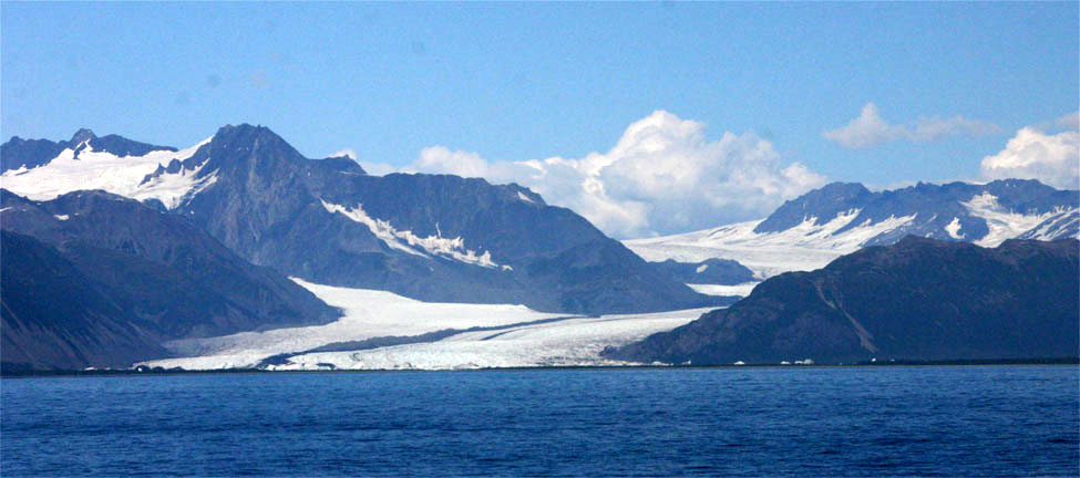 �x�A�[�X��