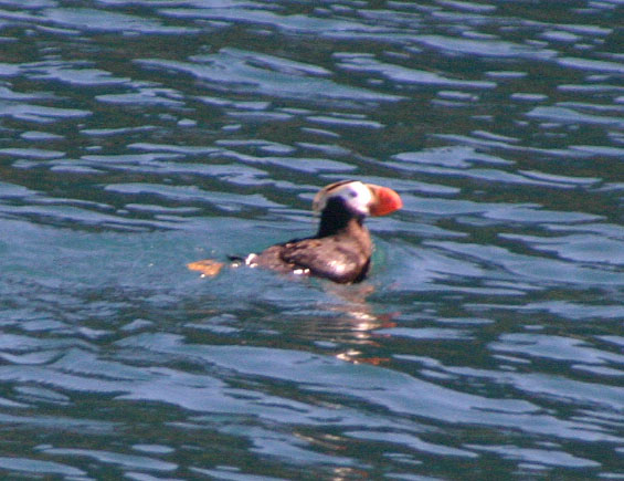 �c�m���h��