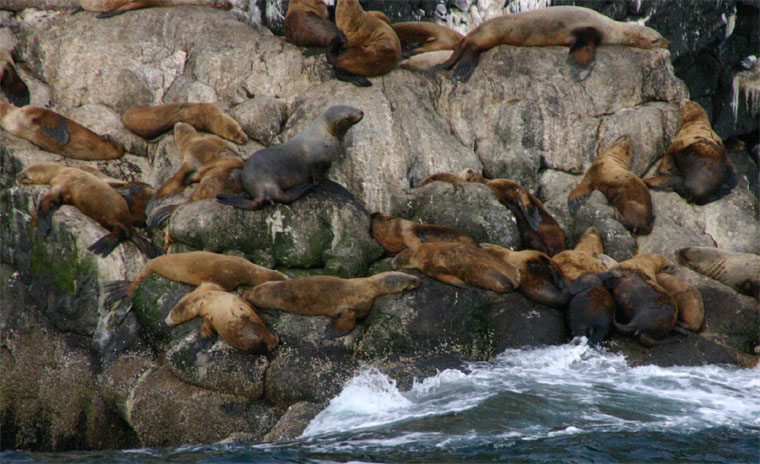 �g�h�ƃA�U���V