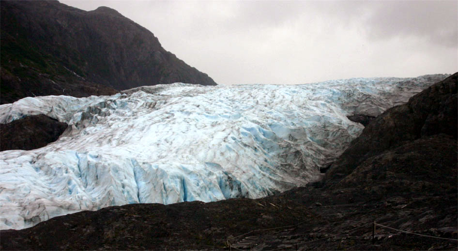 �G�N�W�b�g�X�̖͂��[