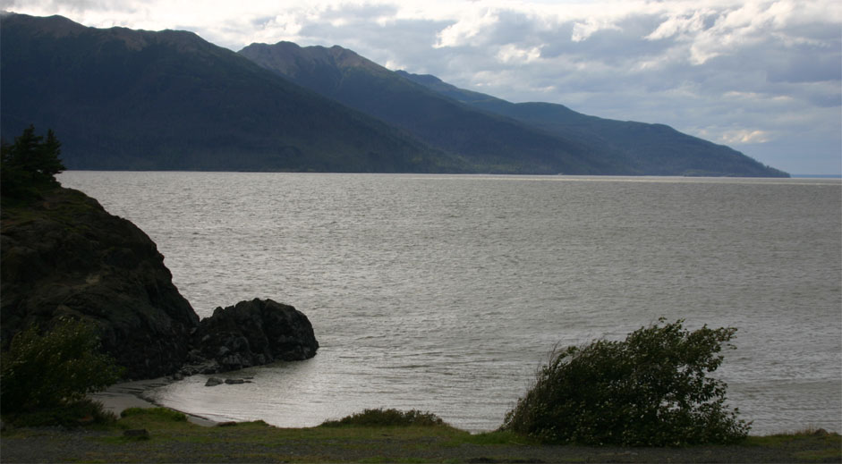 �^�[�i�Q�����]