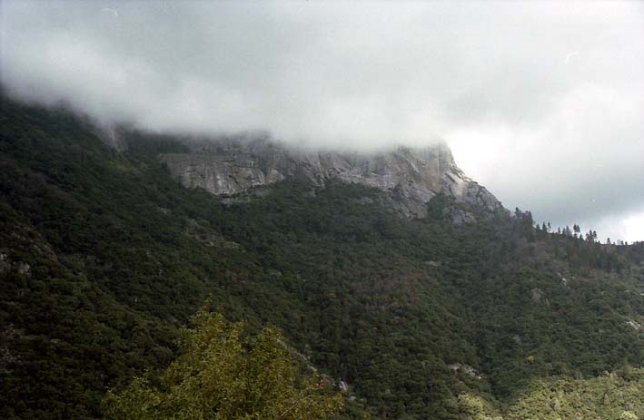 �������b�N