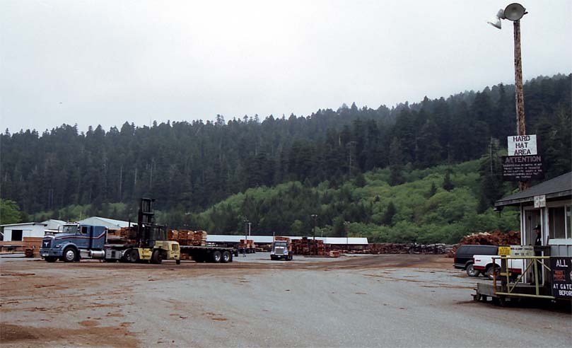 ���ލH��̓y��