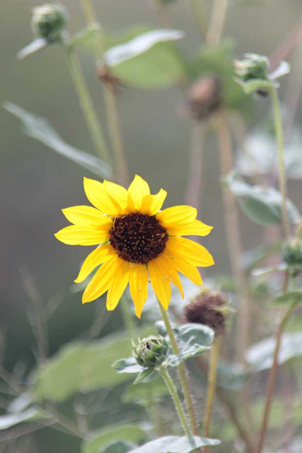  �q�}����