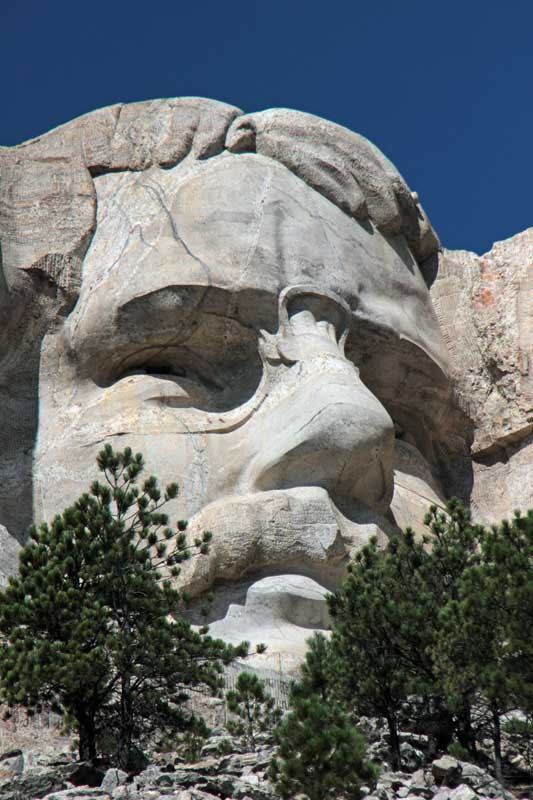 �Q�U�ニ�[�Y�x���g