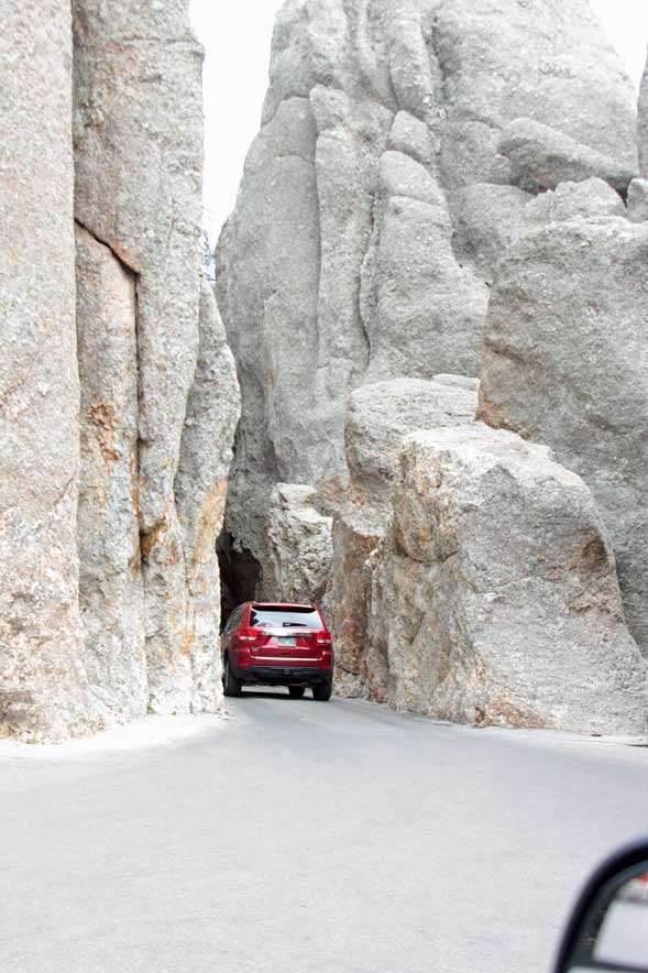 �j�[�h���Y�n�C�E�G�C�̃g���l��