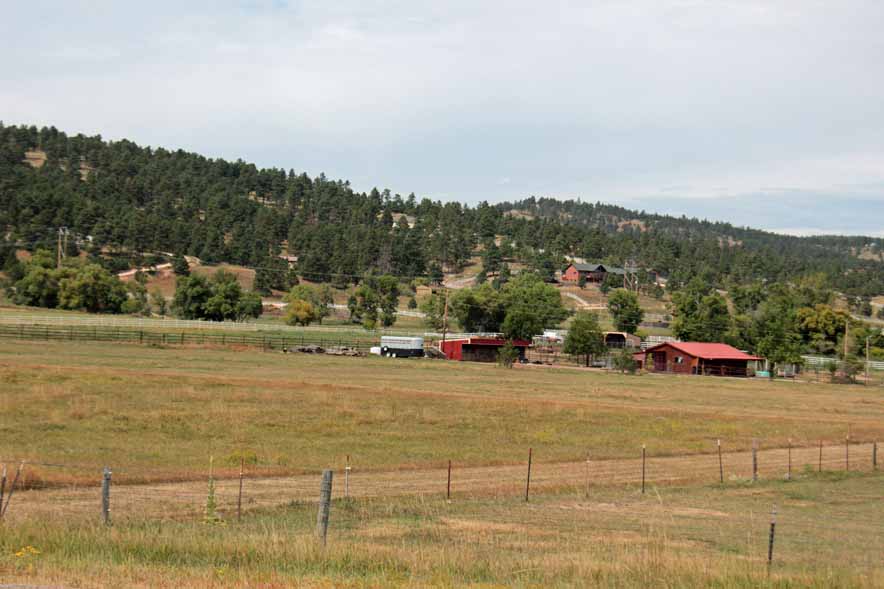 �R�U���������̖q��