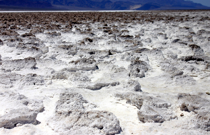 �����̃S���t�R�[�X