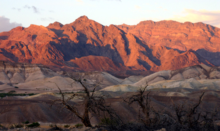 �A�}���S�T�R�n�̗[�Ă�