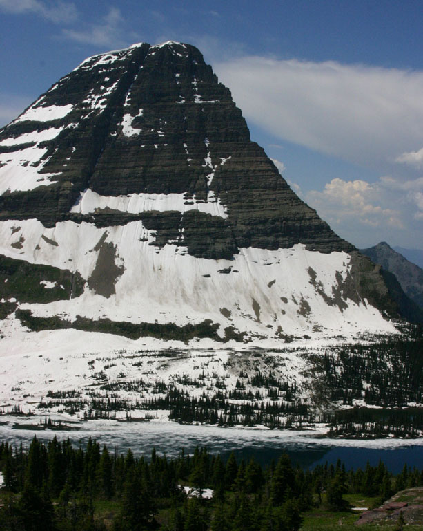 �q�h�����C�N�ƃx�A�[�n�b�g�R