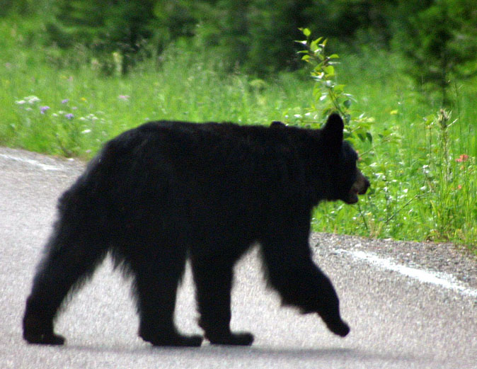 �u���b�N�x�A�[