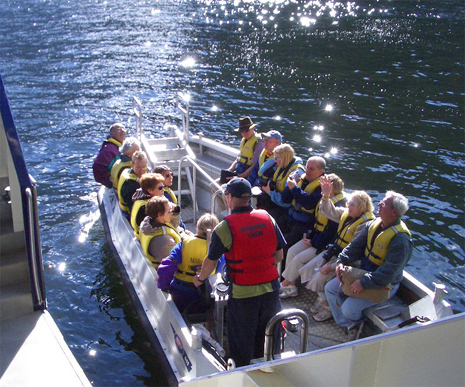 �D�O�{�[�g